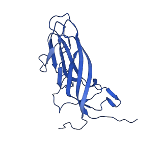 20113_6ola_A9_v1-1
Structure of the PCV2d virus-like particle