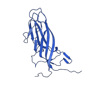 20113_6ola_A9_v1-2
Structure of the PCV2d virus-like particle