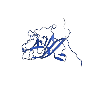 20113_6ola_AA_v1-1
Structure of the PCV2d virus-like particle