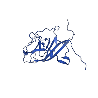 20113_6ola_AA_v1-2
Structure of the PCV2d virus-like particle