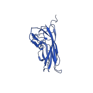 20113_6ola_AB_v1-1
Structure of the PCV2d virus-like particle