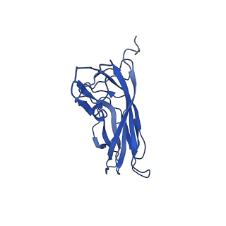 20113_6ola_AB_v1-2
Structure of the PCV2d virus-like particle