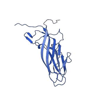 20113_6ola_AC_v1-1
Structure of the PCV2d virus-like particle