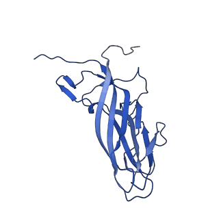 20113_6ola_AC_v1-2
Structure of the PCV2d virus-like particle