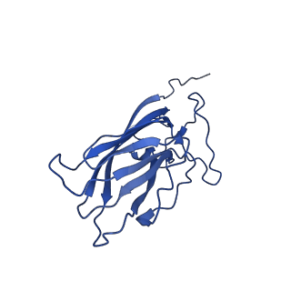 20113_6ola_AD_v1-2
Structure of the PCV2d virus-like particle