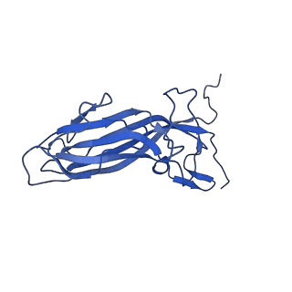 20113_6ola_AE_v1-1
Structure of the PCV2d virus-like particle