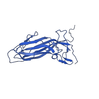 20113_6ola_AE_v1-2
Structure of the PCV2d virus-like particle