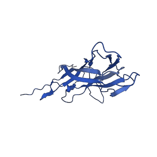 20113_6ola_AF_v1-2
Structure of the PCV2d virus-like particle