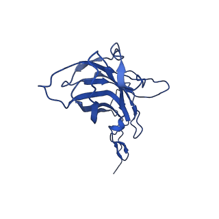 20113_6ola_AG_v1-2
Structure of the PCV2d virus-like particle