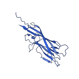 20113_6ola_AJ_v1-2
Structure of the PCV2d virus-like particle