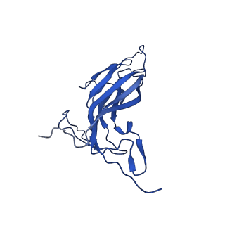 20113_6ola_AK_v1-2
Structure of the PCV2d virus-like particle