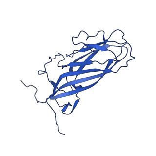 20113_6ola_AL_v1-1
Structure of the PCV2d virus-like particle