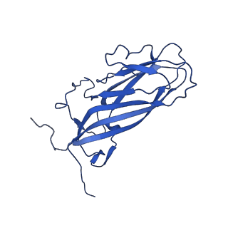 20113_6ola_AL_v1-2
Structure of the PCV2d virus-like particle