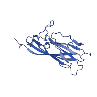 20113_6ola_AM_v1-2
Structure of the PCV2d virus-like particle