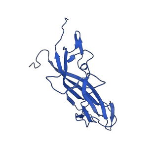 20113_6ola_AN_v1-1
Structure of the PCV2d virus-like particle