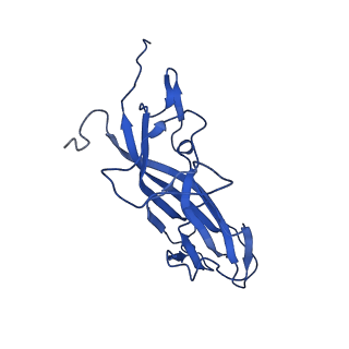 20113_6ola_AN_v1-2
Structure of the PCV2d virus-like particle