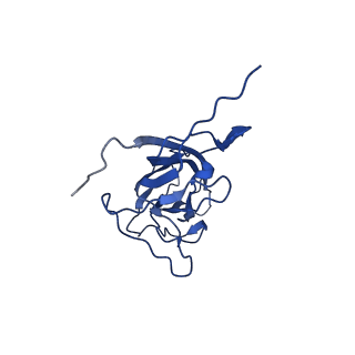 20113_6ola_AO_v1-2
Structure of the PCV2d virus-like particle