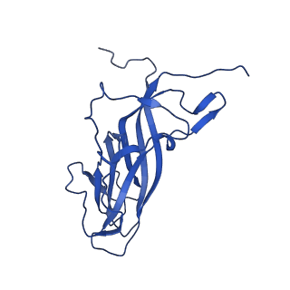 20113_6ola_AQ_v1-2
Structure of the PCV2d virus-like particle