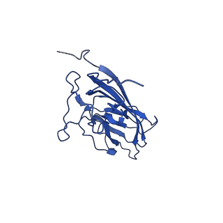 20113_6ola_AR_v1-1
Structure of the PCV2d virus-like particle