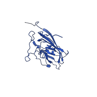 20113_6ola_AR_v1-2
Structure of the PCV2d virus-like particle