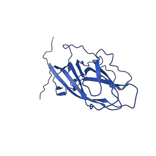 20113_6ola_AT_v1-2
Structure of the PCV2d virus-like particle