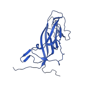 20113_6ola_AU_v1-2
Structure of the PCV2d virus-like particle