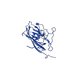 20113_6ola_AV_v1-1
Structure of the PCV2d virus-like particle