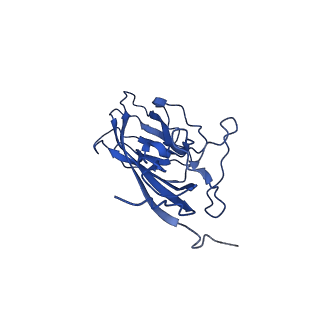 20113_6ola_AV_v1-2
Structure of the PCV2d virus-like particle