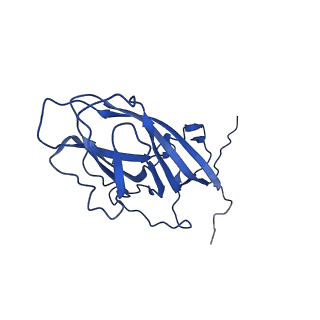 20113_6ola_AX_v1-1
Structure of the PCV2d virus-like particle
