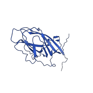 20113_6ola_AX_v1-2
Structure of the PCV2d virus-like particle