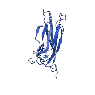 20113_6ola_AY_v1-2
Structure of the PCV2d virus-like particle