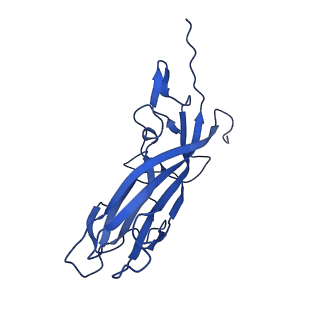 20113_6ola_AZ_v1-2
Structure of the PCV2d virus-like particle