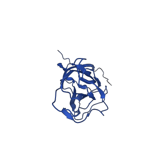 20113_6ola_Aa_v1-1
Structure of the PCV2d virus-like particle