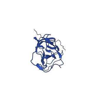 20113_6ola_Aa_v1-2
Structure of the PCV2d virus-like particle