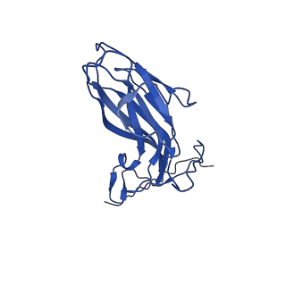 20113_6ola_Ab_v1-1
Structure of the PCV2d virus-like particle