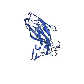 20113_6ola_Ab_v1-2
Structure of the PCV2d virus-like particle