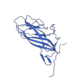 20113_6ola_Ac_v1-2
Structure of the PCV2d virus-like particle