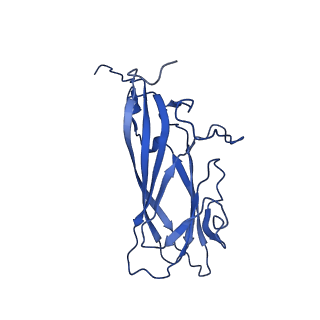 20113_6ola_Af_v1-1
Structure of the PCV2d virus-like particle