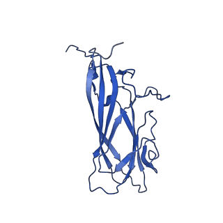 20113_6ola_Af_v1-2
Structure of the PCV2d virus-like particle