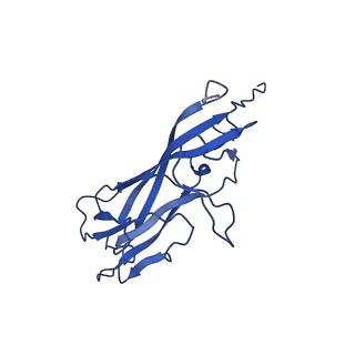 20113_6ola_Ag_v1-1
Structure of the PCV2d virus-like particle