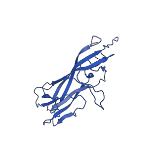 20113_6ola_Ag_v1-2
Structure of the PCV2d virus-like particle