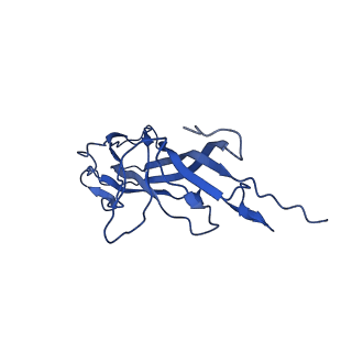 20113_6ola_Ah_v1-1
Structure of the PCV2d virus-like particle