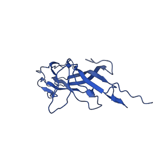 20113_6ola_Ah_v1-2
Structure of the PCV2d virus-like particle