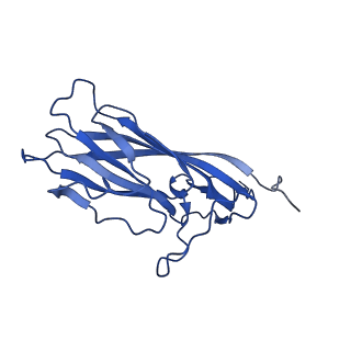 20113_6ola_Aj_v1-2
Structure of the PCV2d virus-like particle