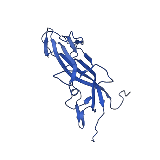 20113_6ola_Ak_v1-1
Structure of the PCV2d virus-like particle