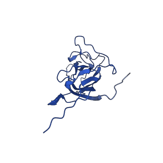 20113_6ola_Al_v1-1
Structure of the PCV2d virus-like particle