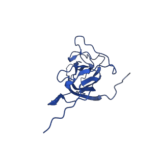20113_6ola_Al_v1-2
Structure of the PCV2d virus-like particle