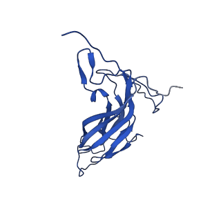 20113_6ola_Am_v1-2
Structure of the PCV2d virus-like particle