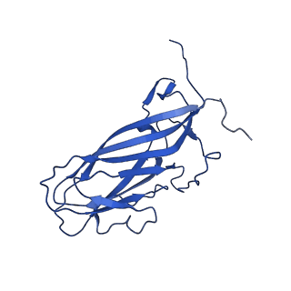 20113_6ola_An_v1-2
Structure of the PCV2d virus-like particle