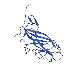 20113_6ola_Ao_v1-1
Structure of the PCV2d virus-like particle